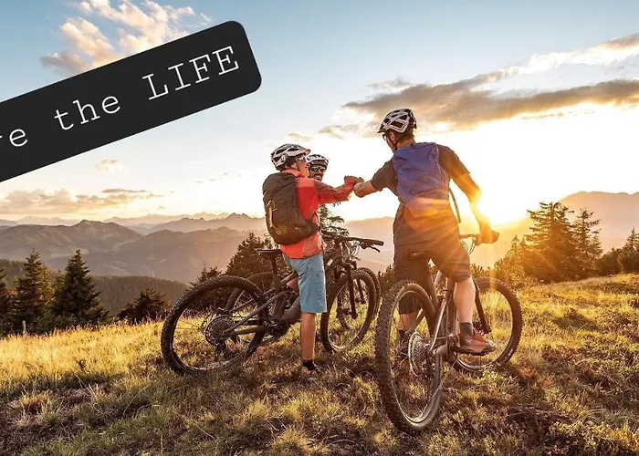 Apartment Neumayer's Flachau